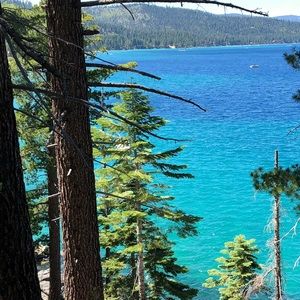 Meet your Posher, Katrina